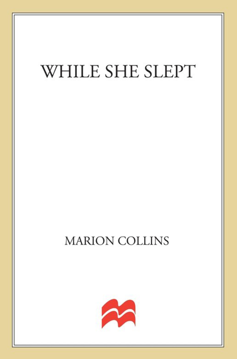 Cover image for book While She Slept