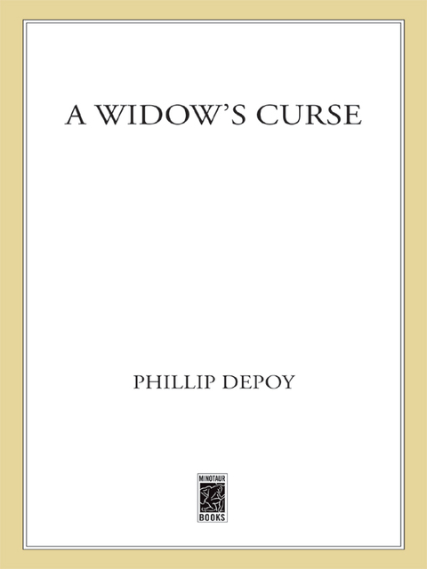 Cover image for book A Widow's Curse
