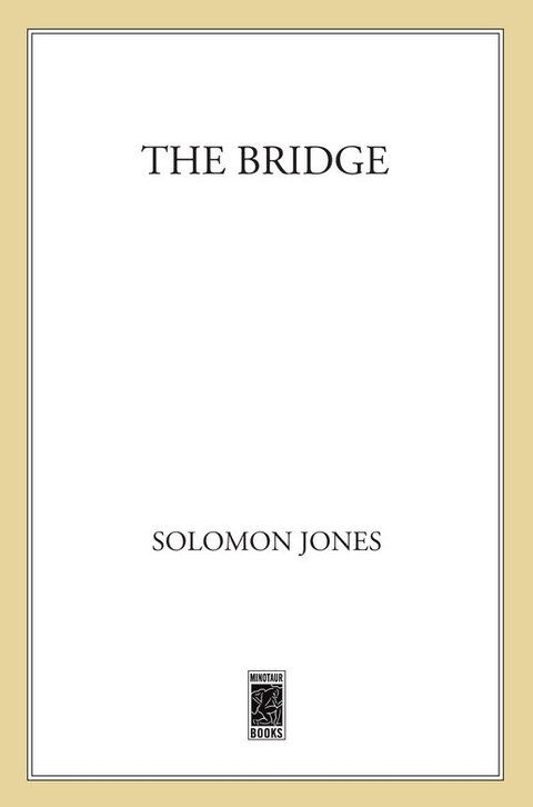 Cover image for book The Bridge
