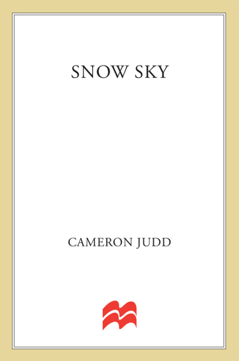 Cover image for book Snow Sky