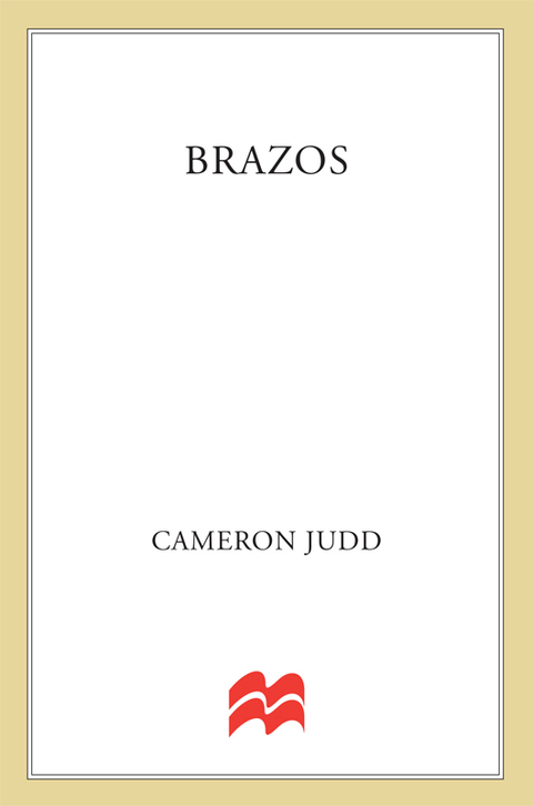 Cover image for book Brazos