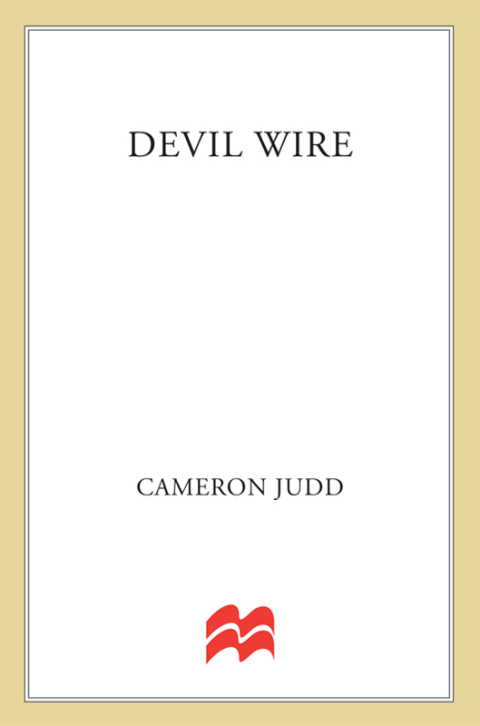 Cover image for book Devil Wire