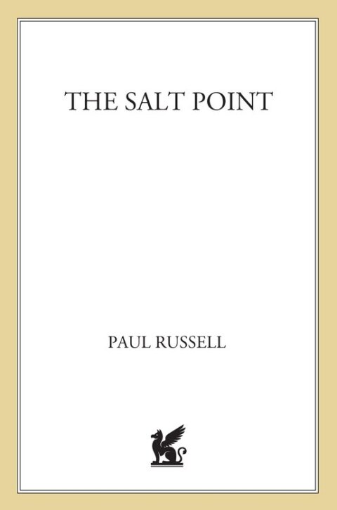 Cover image for book The Salt Point