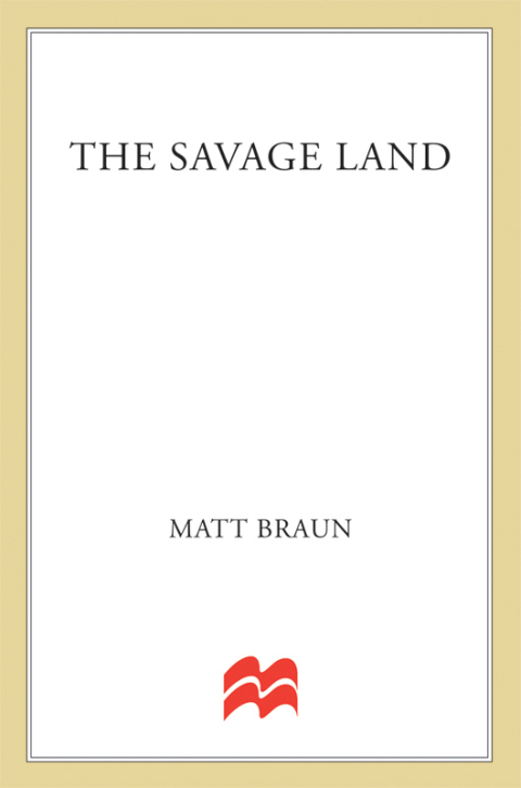Cover image for book The Savage Land