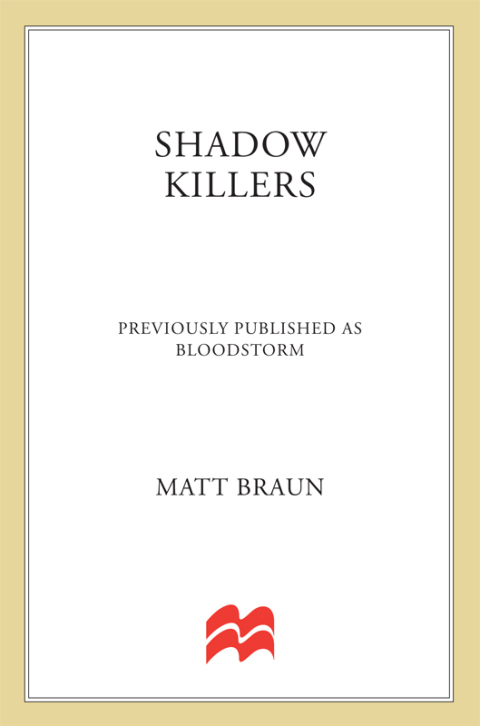 Cover image for book Shadow Killers