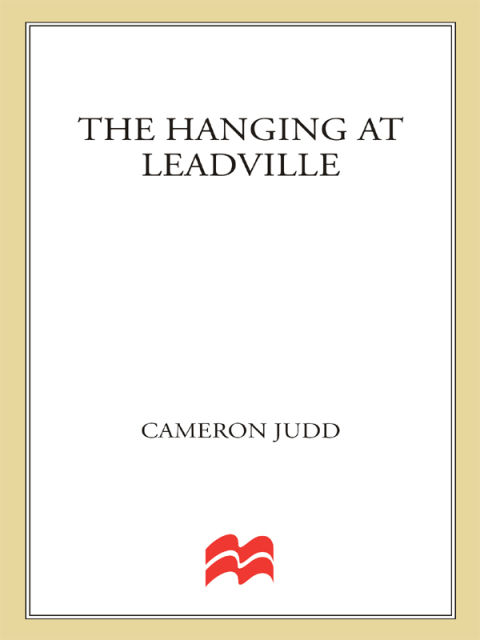 Cover image for book The Hanging at Leadville