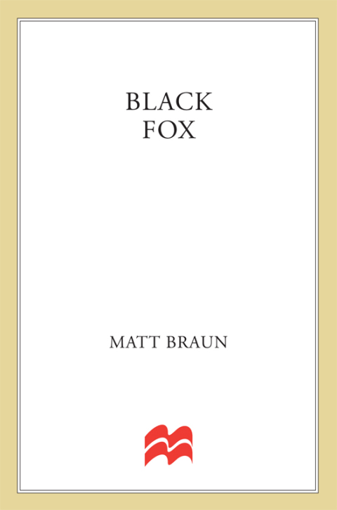Cover image for book Black Fox