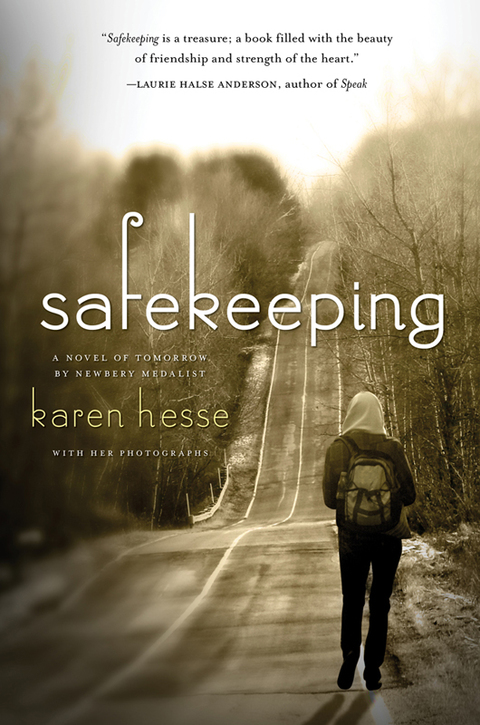 Cover image for book Safekeeping