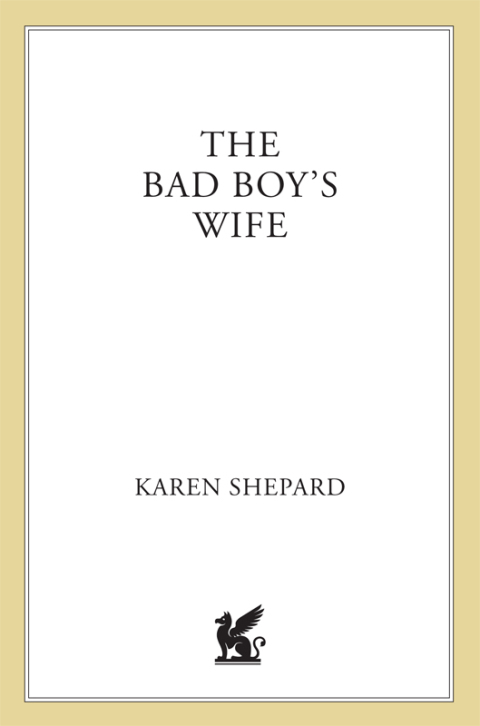 Cover image for book The Bad Boy's Wife