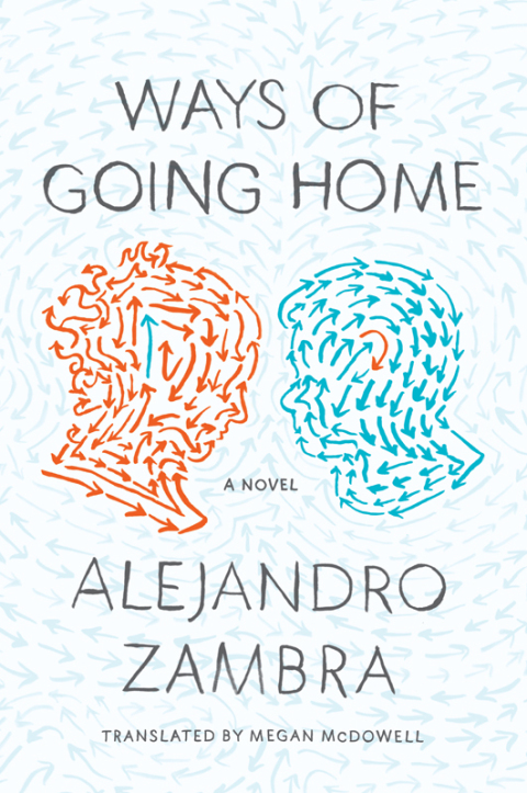 Cover image for book Ways of Going Home