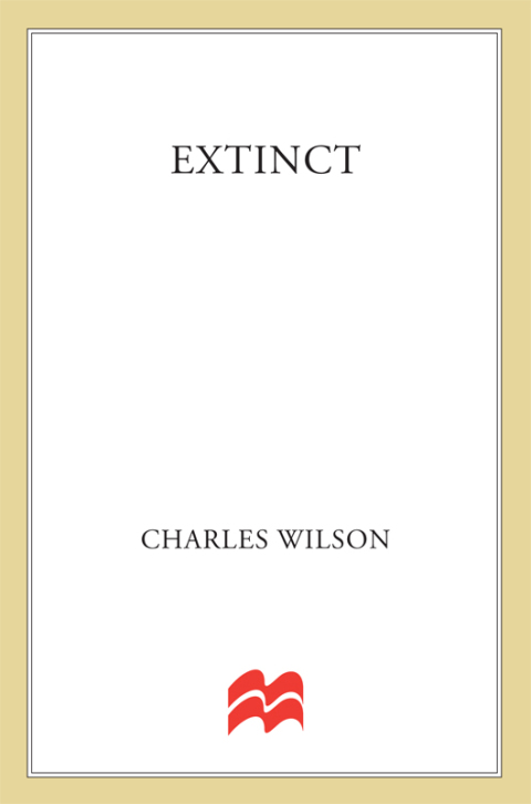 Cover image for book Extinct