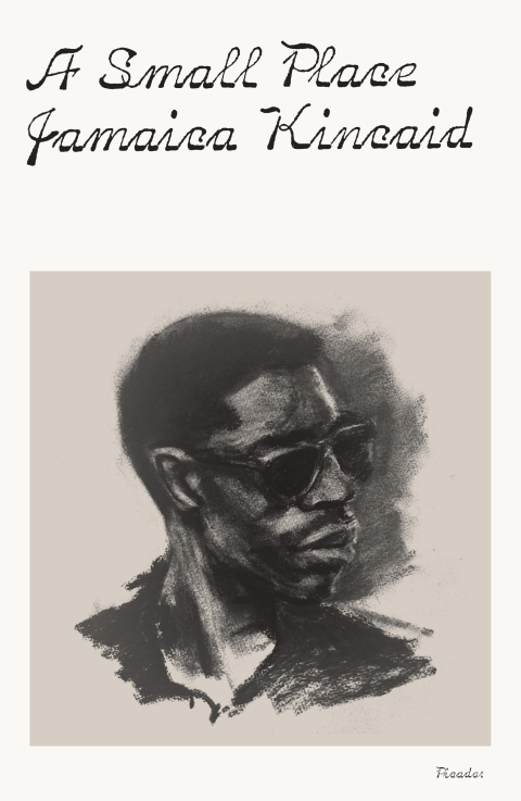 Cover image for book A Small Place