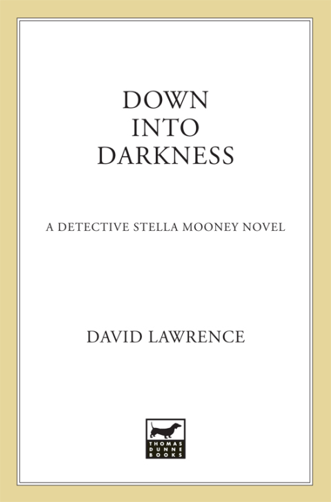 Cover image for book Down into Darkness