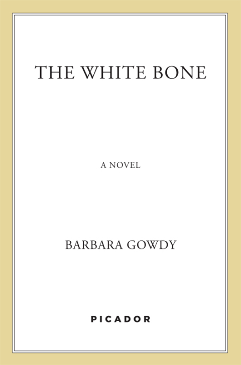 Cover image for book The White Bone