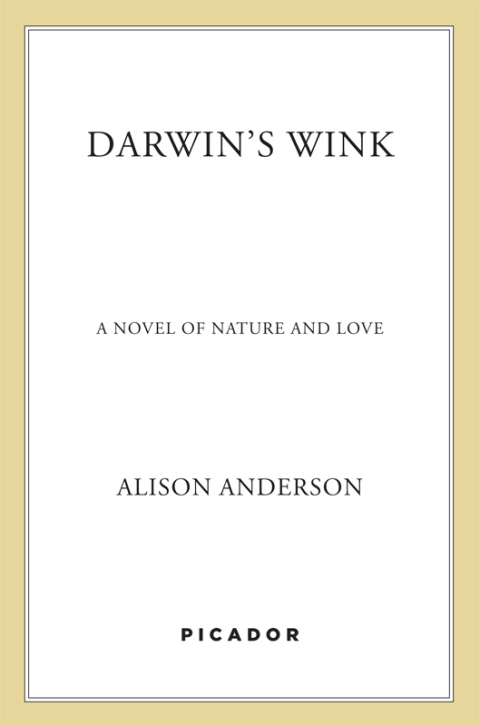 Cover image for book Darwin's Wink