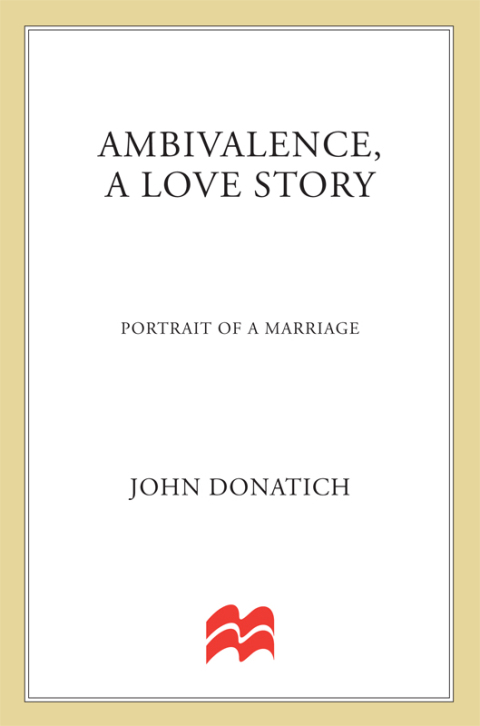 Cover image for book Ambivalence, a Love Story
