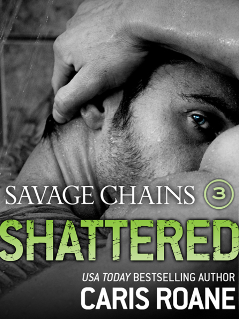 Cover image for book Savage Chains: Shattered (#3)
