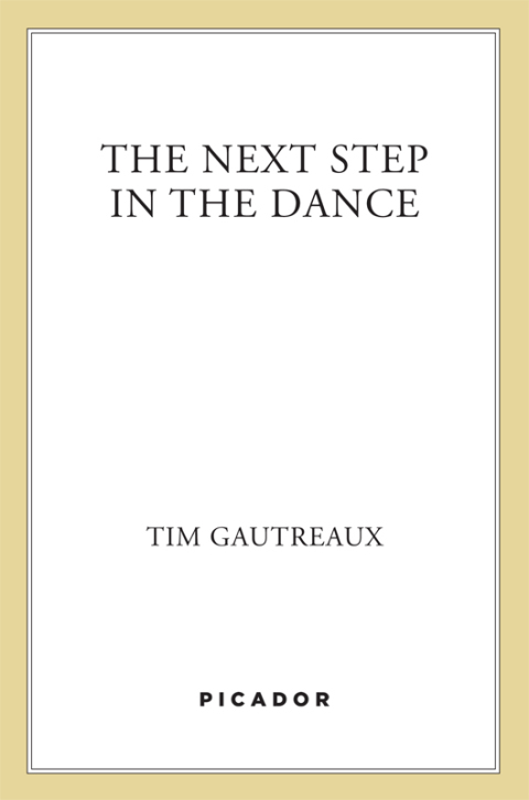 Cover image for book The Next Step in the Dance