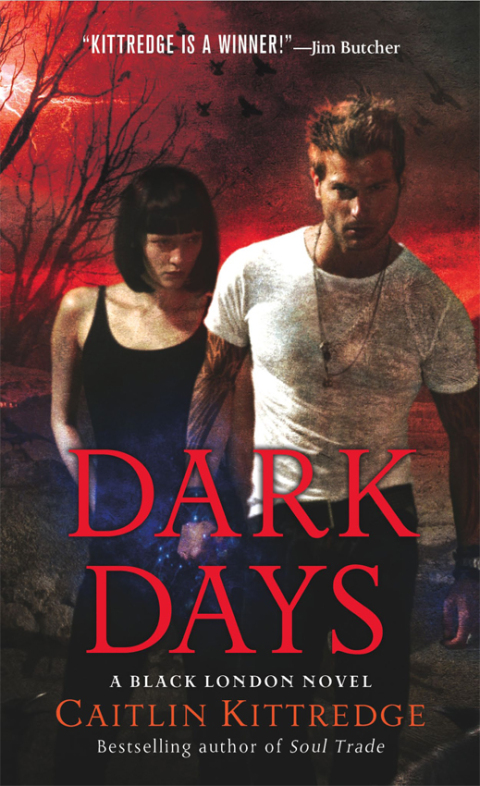 Cover image for book Dark Days