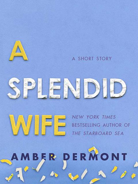 Cover image for book A Splendid Wife