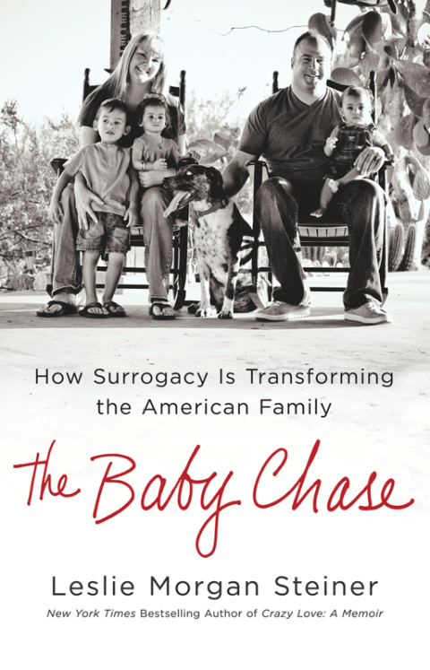 Cover image for book The Baby Chase