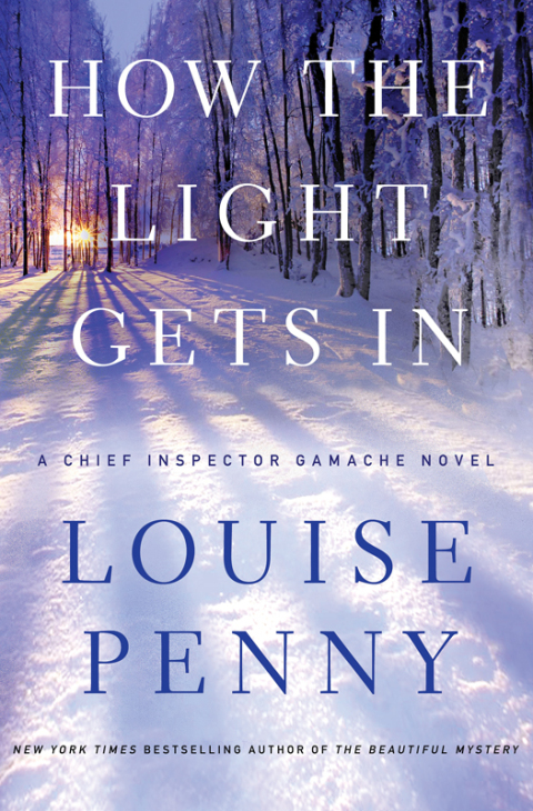 Cover image for book How the Light Gets In