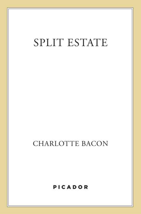 Cover image for book Split Estate