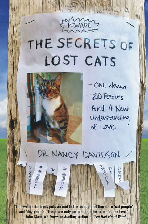 Cover image for book The Secrets of Lost Cats