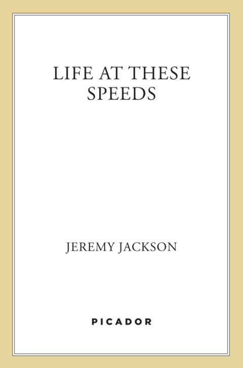 Cover image for book Life at These Speeds