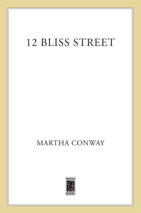Cover image for book 12 Bliss Street