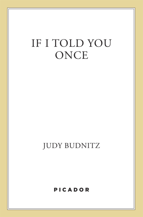 Cover image for book If I Told You Once