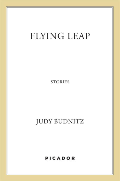 Cover image for book Flying Leap