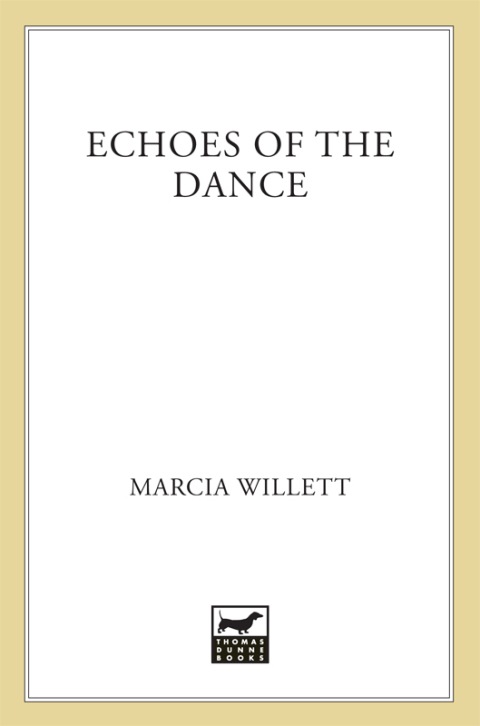 Cover image for book Echoes of the Dance