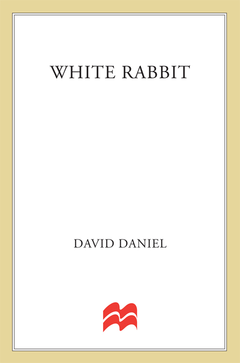 Cover image for book White Rabbit