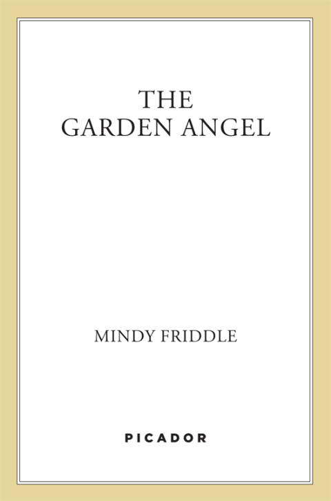Cover image for book The Garden Angel
