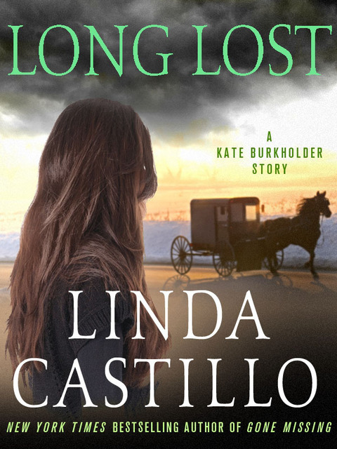 Cover image for book Long Lost
