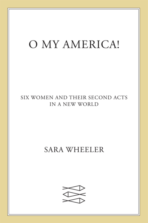 Cover image for book O My America!