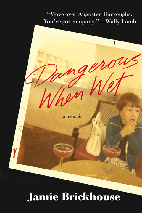 Cover image for book Dangerous When Wet