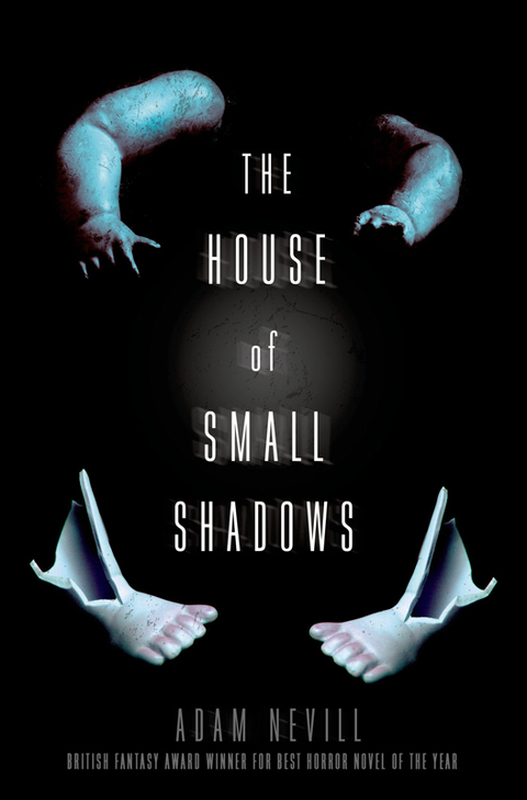Cover image for book The House of Small Shadows