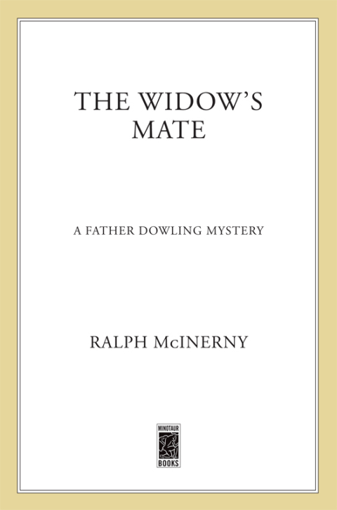 Cover image for book The Widow's Mate