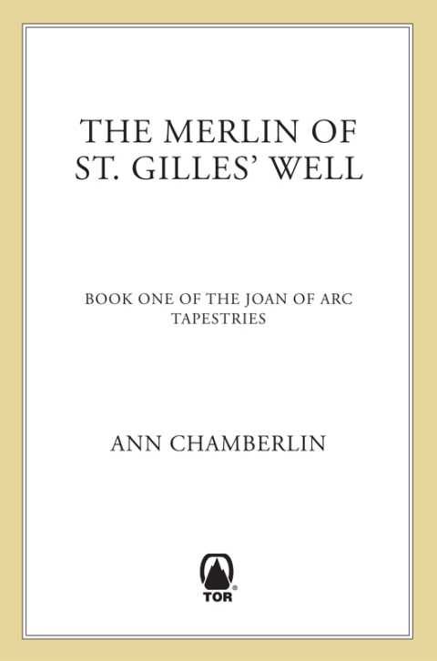 Cover image for book The Merlin of St. Gilles' Well