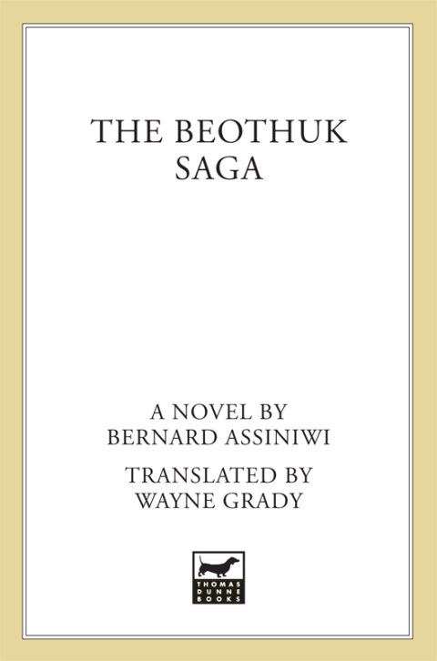 Cover image for book The Beothuk Saga