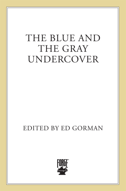 Cover image for book The Blue and the Gray Undercover