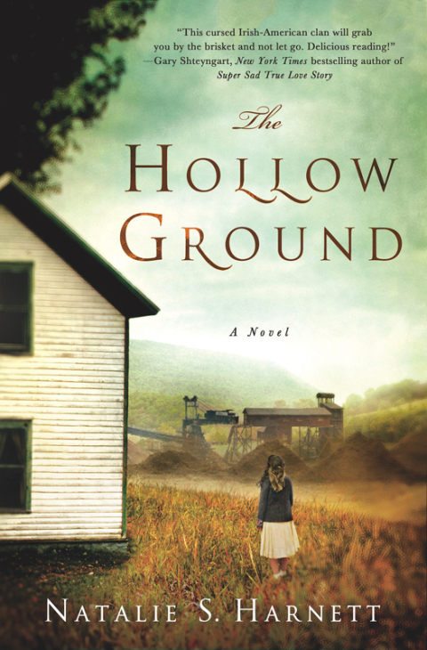 Cover image for book The Hollow Ground