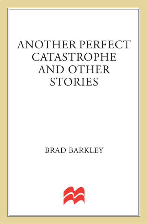 Cover image for book Another Perfect Catastrophe