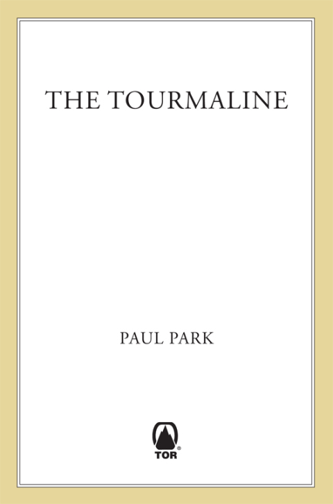 Cover image for book The Tourmaline