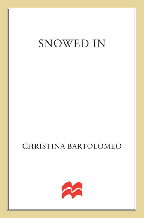 Cover image for book Snowed In