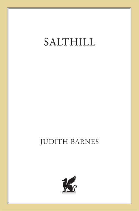 Cover image for book Salthill