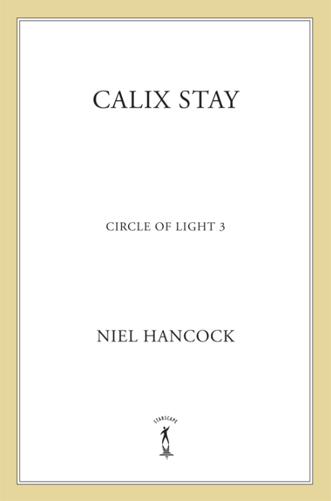 Cover image for book Calix Stay
