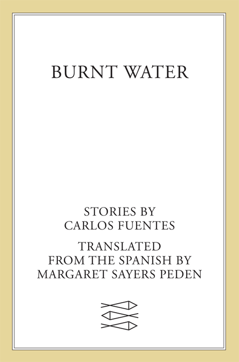 Cover image for book Burnt Water